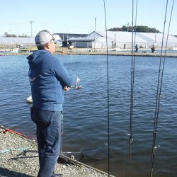 浜名湖フィッシングリゾート 釣果