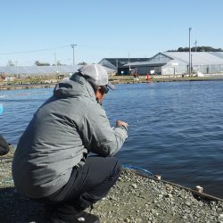 浜名湖フィッシングリゾート 釣果