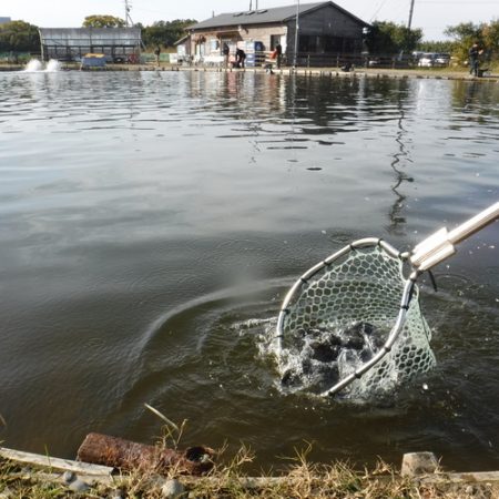 浜名湖フィッシングリゾート 釣果
