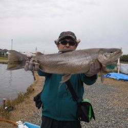 浜名湖フィッシングリゾート 釣果