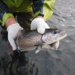 浜名湖フィッシングリゾート 釣果