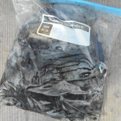 こかわ渡船　雅丸 釣果