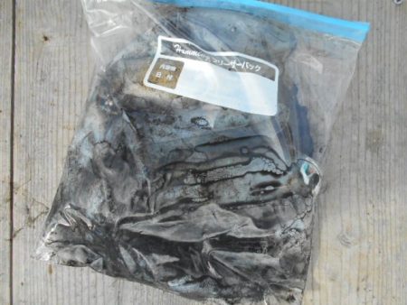 こかわ渡船　雅丸 釣果