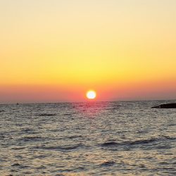 フィッシングボート空風(そらかぜ) 釣果