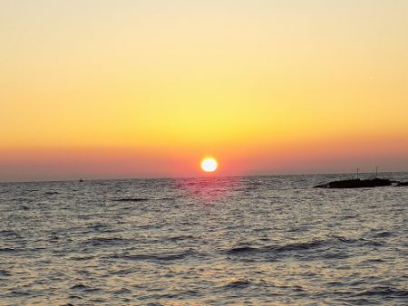 フィッシングボート空風(そらかぜ) 釣果