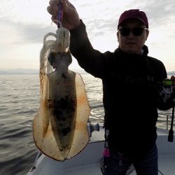 フィッシングボート空風(そらかぜ) 釣果