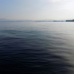 フィッシングボート空風(そらかぜ) 釣果
