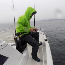 フィッシングボート空風(そらかぜ) 釣果