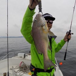 フィッシングボート空風(そらかぜ) 釣果