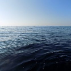 フィッシングボート空風(そらかぜ) 釣果