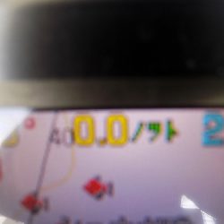 フィッシングボート空風(そらかぜ) 釣果