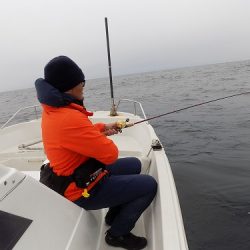 フィッシングボート空風（そらかぜ） 釣果