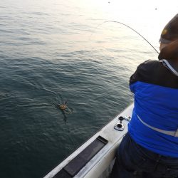 Fisherman Dreams DI 釣果