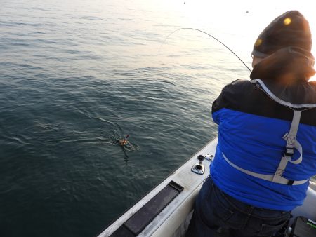 Fisherman Dreams DI 釣果