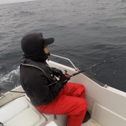 フィッシングボート空風（そらかぜ） 釣果