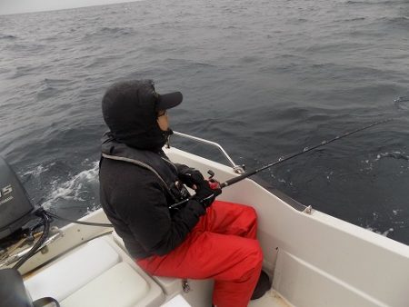 フィッシングボート空風（そらかぜ） 釣果