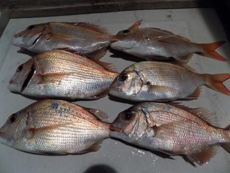 フィッシングボート空風（そらかぜ） 釣果