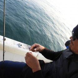 Fisherman Dreams DI 釣果