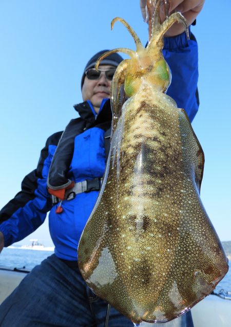 Fisherman Dreams DI 釣果