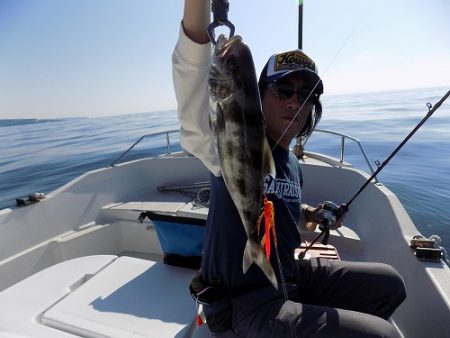 フィッシングボート空風(そらかぜ) 釣果