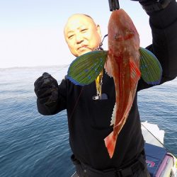 フィッシングボート空風(そらかぜ) 釣果