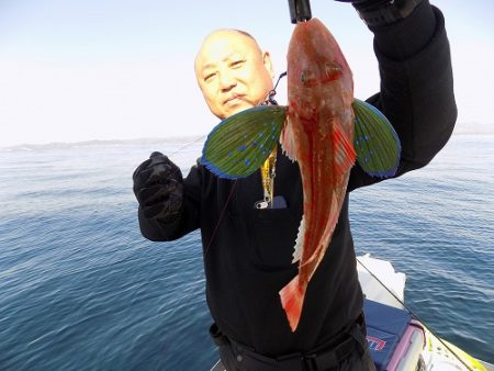 フィッシングボート空風(そらかぜ) 釣果