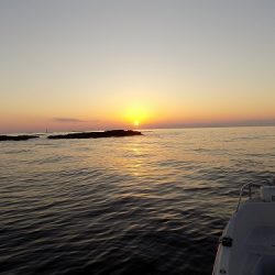 フィッシングボート空風(そらかぜ) 釣果