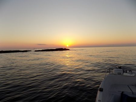 フィッシングボート空風(そらかぜ) 釣果