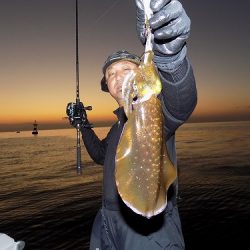 フィッシングボート空風(そらかぜ) 釣果