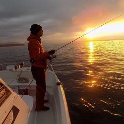 フィッシングボート空風（そらかぜ） 釣果