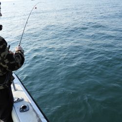 Fisherman Dreams DI 釣果