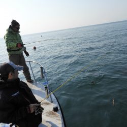 Fisherman Dreams DI 釣果