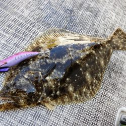 Fisherman Dreams DI 釣果