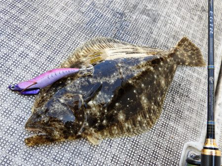 Fisherman Dreams DI 釣果