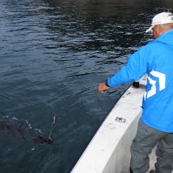 Fisherman Dreams DI 釣果