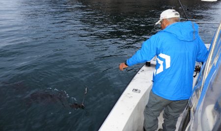 Fisherman Dreams DI 釣果