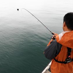 Fisherman Dreams DI 釣果