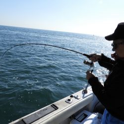 Fisherman Dreams DI 釣果