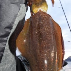 Fisherman Dreams DI 釣果