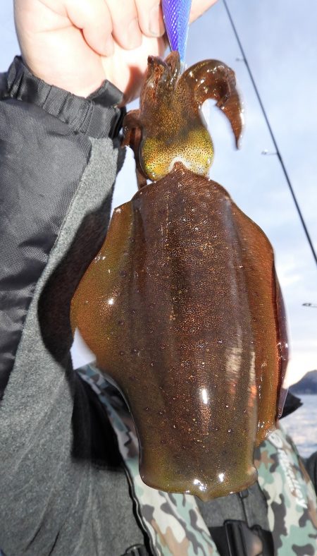 Fisherman Dreams DI 釣果