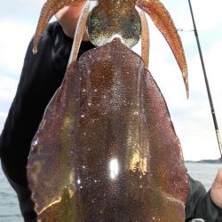 Fisherman Dreams DI 釣果