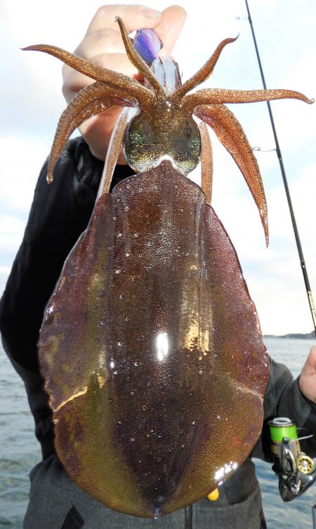 Fisherman Dreams DI 釣果