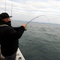 Fisherman Dreams DI 釣果