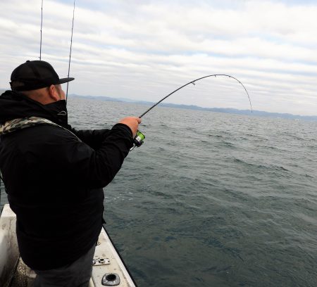 Fisherman Dreams DI 釣果