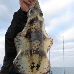 Fisherman Dreams DI 釣果