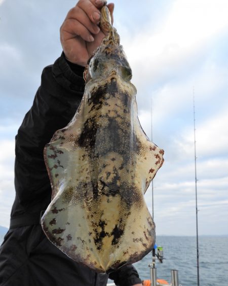 Fisherman Dreams DI 釣果