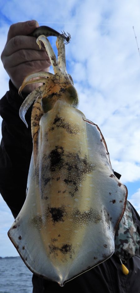 Fisherman Dreams DI 釣果