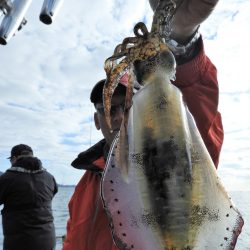 Fisherman Dreams DI 釣果