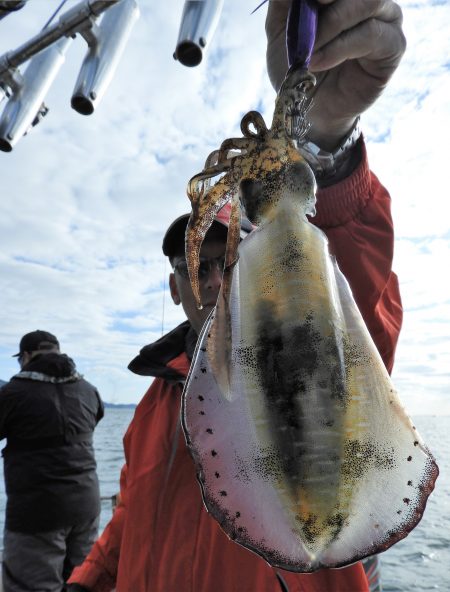 Fisherman Dreams DI 釣果