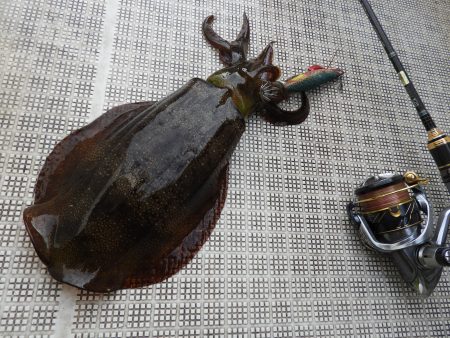 Fisherman Dreams DI 釣果